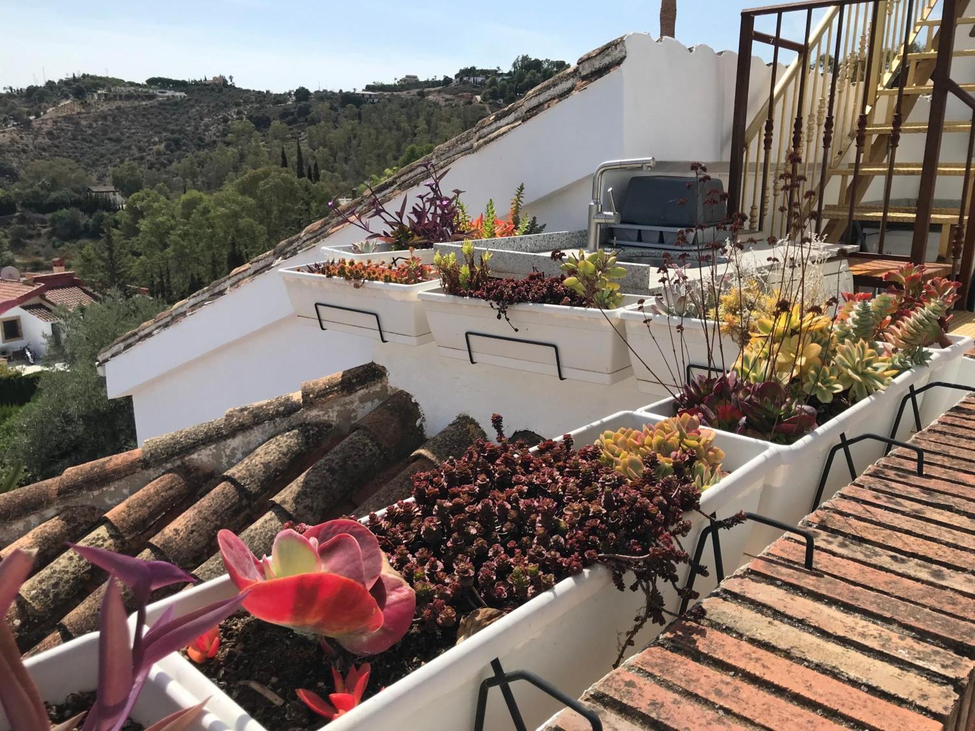 Studio Views Apartment, Cortijo Fruitful Hills Màlaga Exteriér fotografie